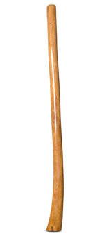 Gloss Finish Didgeridoo (TW1148)